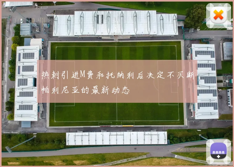 热刺引进M费和托纳利后决定不买断帕利尼亚的最新动态